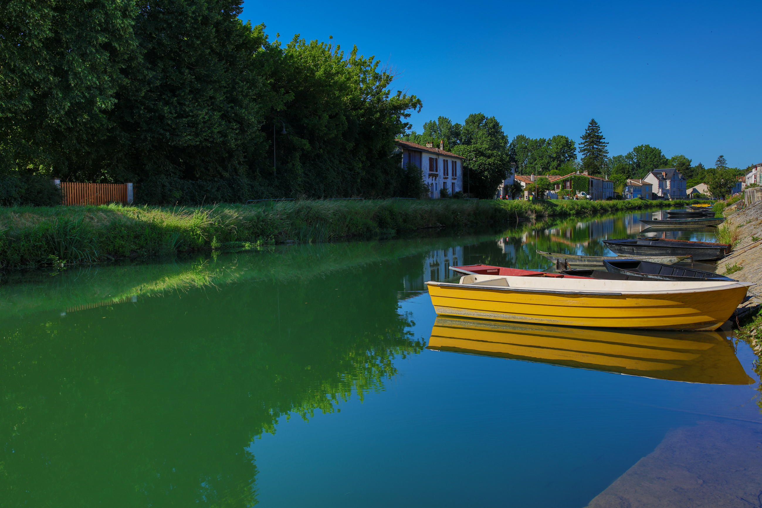 the Poitevin marsh