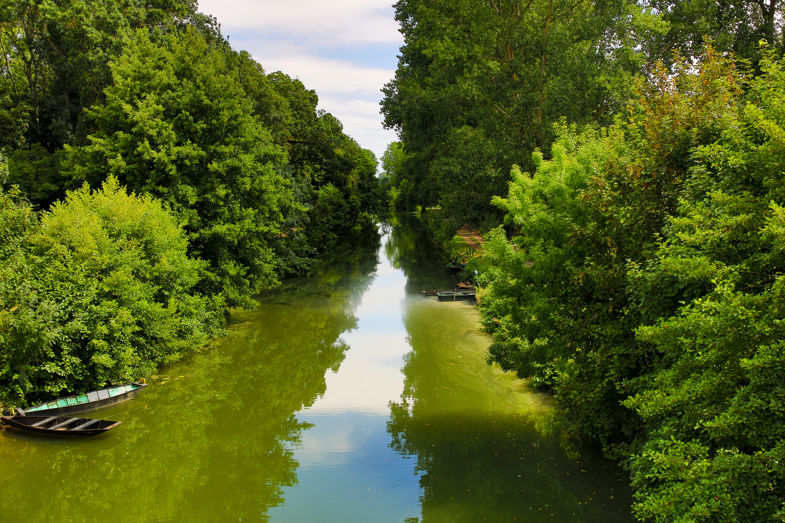 the Poitevin marsh